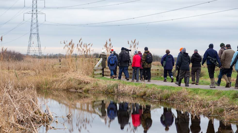 Visitors at WWT Steart Marshes